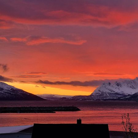 Loftsleilighet Midt I Sentrum Skjervoy Exteriör bild