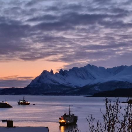 Loftsleilighet Midt I Sentrum Skjervoy Exteriör bild