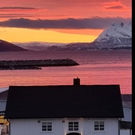 Loftsleilighet Midt I Sentrum Skjervoy Exteriör bild