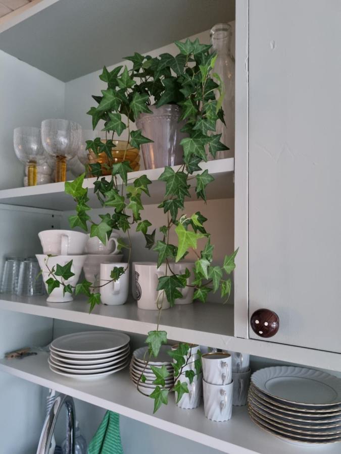 Loftsleilighet Midt I Sentrum Skjervoy Exteriör bild