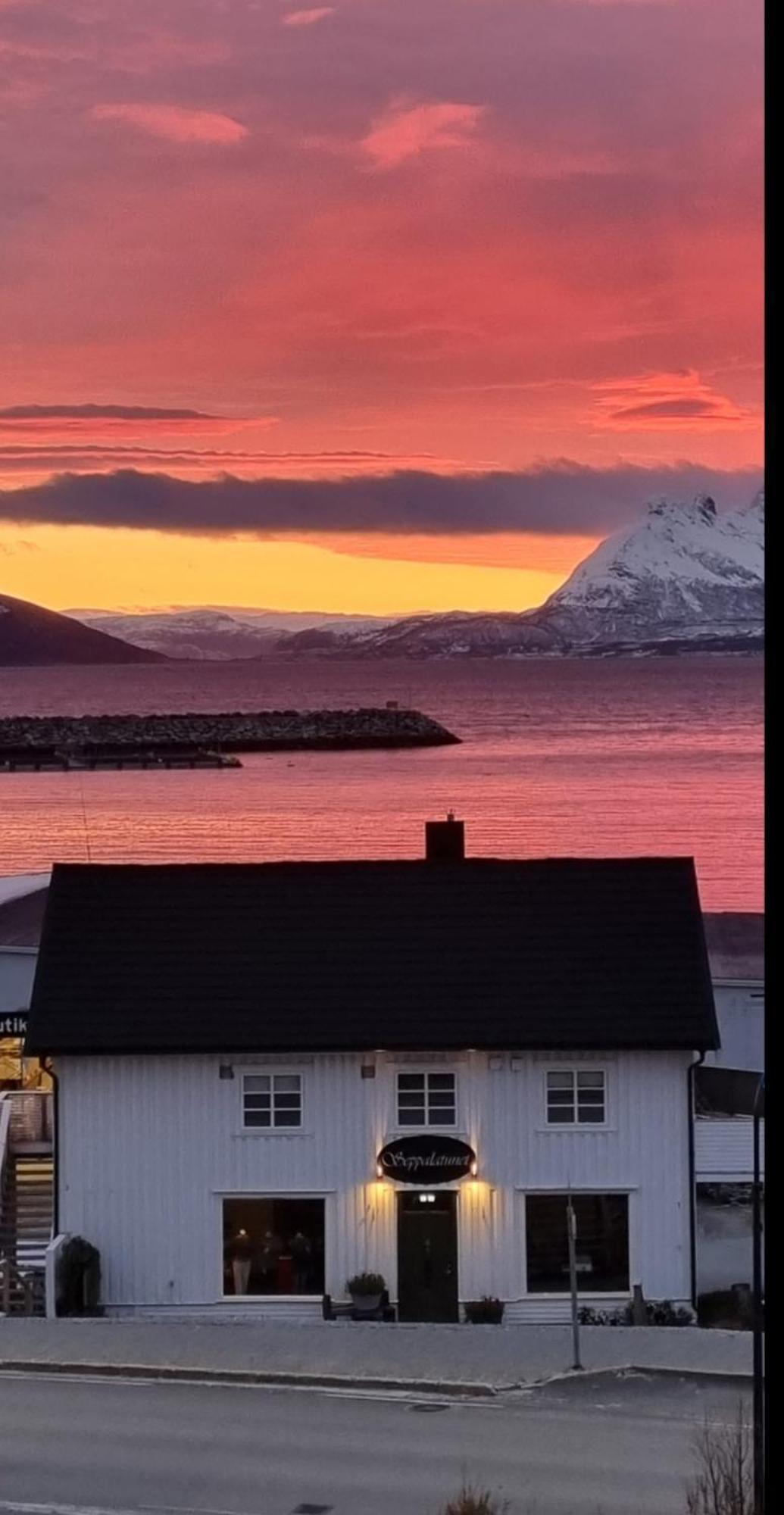 Loftsleilighet Midt I Sentrum Skjervoy Exteriör bild